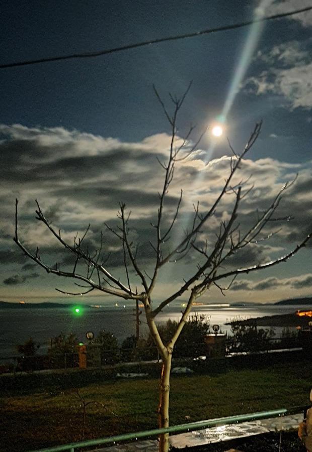 Mordogan Tas Konakta Doga Ve Deniz Tatili Βίλα Karaburun  Εξωτερικό φωτογραφία